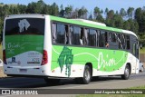 Turismo e Fretamento Orion Transportes 4203 na cidade de Aparecida, São Paulo, Brasil, por José Augusto de Souza Oliveira. Número da foto: #13070275.