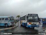 Novix Bus 42527 na cidade de Juiz de Fora, Minas Gerais, Brasil, por Fábio Singulani. Número da foto: #13068648.
