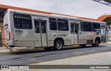 BluMob - Concessionária de Transporte Urbano de Blumenau 9194 na cidade de Blumenau, Santa Catarina, Brasil, por Iago Scheineider. Número da foto: #13068375.