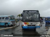 Novix Bus 42527 na cidade de Juiz de Fora, Minas Gerais, Brasil, por Fábio Singulani. Número da foto: #13068642.
