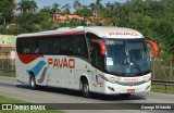 Turismo Pavão 19301 na cidade de Santa Isabel, São Paulo, Brasil, por George Miranda. Número da foto: #:id.