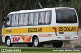 TAP Turismo e Fretamento 31 na cidade de Barra do Piraí, Rio de Janeiro, Brasil, por José Augusto de Souza Oliveira. Número da foto: #13072751.