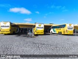 Empresa Gontijo de Transportes 14295 na cidade de Feira de Santana, Bahia, Brasil, por Luis Davi. Número da foto: #13073821.