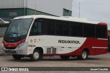 Rouxinol 2547 na cidade de Caxias do Sul, Rio Grande do Sul, Brasil, por Jovani Cecchin. Número da foto: #13073964.