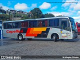 Transportes Capellini 13276 na cidade de Campo Limpo Paulista, São Paulo, Brasil, por Wellington Oliveira. Número da foto: #:id.