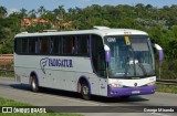 Fadigatur 33400 na cidade de Santa Isabel, São Paulo, Brasil, por George Miranda. Número da foto: #13073421.