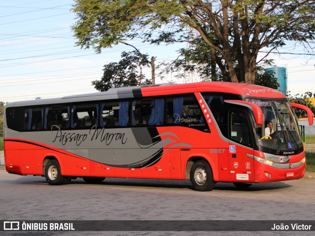 Empresa de Ônibus Pássaro Marron 5827 na cidade de São José dos Campos, São Paulo, Brasil, por João Victor. Número da foto: #13076729.