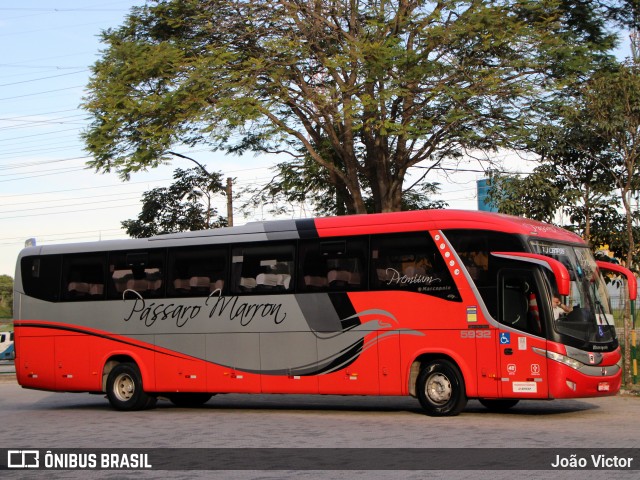 Empresa de Ônibus Pássaro Marron 5932 na cidade de São José dos Campos, São Paulo, Brasil, por João Victor. Número da foto: #13076675.