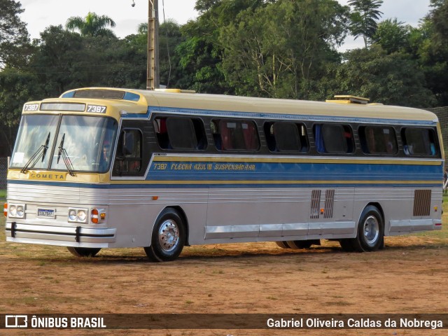Ônibus Particulares 7387 na cidade de Artur Nogueira, São Paulo, Brasil, por Gabriel Oliveira Caldas da Nobrega. Número da foto: #13076769.