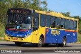 Auto Viação Reginas RJ 110.056 na cidade de Magé, Rio de Janeiro, Brasil, por Paulo Henrique Pereira Borges. Número da foto: #13074828.