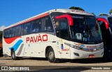 Turismo Pavão 18301 na cidade de Campos do Jordão, São Paulo, Brasil, por Fernando Júnior. Número da foto: #:id.