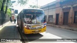 Lince 31 na cidade de San Lorenzo, Central, Paraguai, por Eliezzer Villasanti Berni. Número da foto: #13077032.