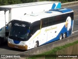 Águia Dourada 1345 na cidade de São José dos Pinhais, Paraná, Brasil, por Julio Cesar Meneguetti. Número da foto: #13075157.