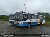 Novix Bus 42527 na cidade de Juiz de Fora, Minas Gerais, Brasil, por Fábio Singulani. Número da foto: #13075776.