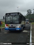 Novix Bus 42527 na cidade de Juiz de Fora, Minas Gerais, Brasil, por Fábio Singulani. Número da foto: #13075773.