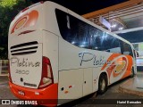Viação Platina 2800 na cidade de Uberaba, Minas Gerais, Brasil, por Hariel Bernades. Número da foto: #13078409.