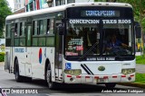 Cenbus 40 na cidade de San José, San José, Costa Rica, por Andrés Martínez Rodríguez. Número da foto: #13077334.