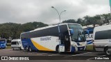 Transric Transportes 244 na cidade de Curitiba, Paraná, Brasil, por Dalton Neto. Número da foto: #13078951.