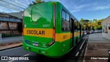 Transportes Capellini 32577 na cidade de Paulínia, São Paulo, Brasil, por Allan Henrique. Número da foto: #:id.