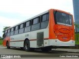 Santa Madalena > Oak Tree Transportes Urbanos 83819 na cidade de São Paulo, São Paulo, Brasil, por Carlos Alberto Matias. Número da foto: #13077345.