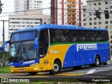 Fergramon Transportes 295 na cidade de Curitiba, Paraná, Brasil, por Paulo Gustavo. Número da foto: #13080493.