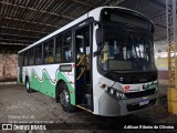 Bonanza Transportes 223357 na cidade de São Lourenço, Minas Gerais, Brasil, por Adilson Ribeiro de Oliveira. Número da foto: #13079952.