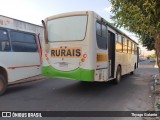 Poneis Bus 1A43 na cidade de Avanhandava, São Paulo, Brasil, por Thyago Galante . Número da foto: #13077858.