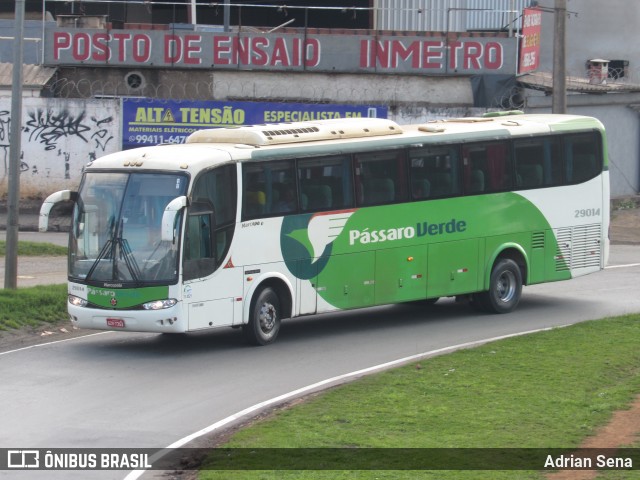 Pássaro Verde 29014 na cidade de João Monlevade, Minas Gerais, Brasil, por Adrian Sena. Número da foto: #13082760.