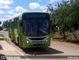 TransPremium 404 na cidade de Picos, Piauí, Brasil, por Pedro Lucas. Número da foto: #13082756.