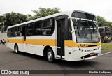 Escolares 389 na cidade de Curitiba, Paraná, Brasil, por Hipólito Rodrigues. Número da foto: #:id.