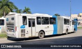 Nova Transporte 22303 na cidade de Cariacica, Espírito Santo, Brasil, por BUSOLOGO MIRIM CAPIXABA. Número da foto: #:id.