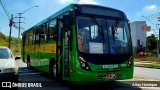 Transportes Capellini 38034 na cidade de Paulínia, São Paulo, Brasil, por Allan Henrique. Número da foto: #13080888.