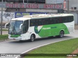Pássaro Verde 29014 na cidade de João Monlevade, Minas Gerais, Brasil, por Adrian Sena. Número da foto: #13082760.