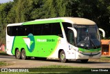 Pássaro Verde 11103 na cidade de Muriaé, Minas Gerais, Brasil, por Lucas Oliveira. Número da foto: #:id.