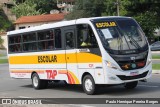 TAP Turismo e Fretamento 121 na cidade de Barra do Piraí, Rio de Janeiro, Brasil, por Paulo Henrique Pereira Borges. Número da foto: #13086494.
