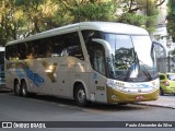 Águia Dourada 2039 na cidade de Rio de Janeiro, Rio de Janeiro, Brasil, por Paulo Alexandre da Silva. Número da foto: #13085417.