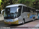 Águia Dourada 2039 na cidade de Rio de Janeiro, Rio de Janeiro, Brasil, por Paulo Alexandre da Silva. Número da foto: #13085421.
