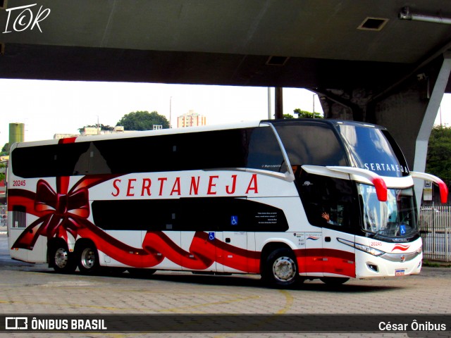 Viação Sertaneja 20245 na cidade de Belo Horizonte, Minas Gerais, Brasil, por César Ônibus. Número da foto: #13088579.