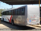 Paraibuna Transportes 16012 na cidade de Cataguases, Minas Gerais, Brasil, por Christian  Fortunato. Número da foto: #13088496.