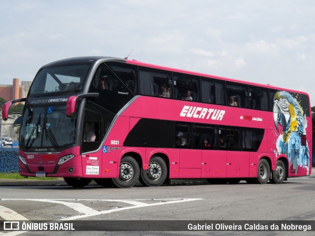 Eucatur - Empresa União Cascavel de Transportes e Turismo 6031 na cidade de São Paulo, São Paulo, Brasil, por Gabriel Oliveira Caldas da Nobrega. Número da foto: #13011442.