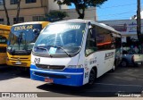 Alisson Transportes 019 na cidade de Apucarana, Paraná, Brasil, por Emanoel Diego.. Número da foto: #13011416.
