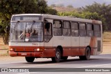 Ônibus Particulares 1483 na cidade de Caratinga, Minas Gerais, Brasil, por Eliziar Maciel Soares. Número da foto: #13013585.