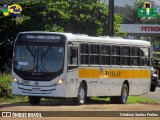 Águia Dourada 2182 na cidade de Nossa Senhora do Socorro, Sergipe, Brasil, por Gledson Santos Freitas. Número da foto: #13011841.