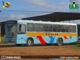 Águia Dourada 2156 na cidade de Nossa Senhora do Socorro, Sergipe, Brasil, por Gledson Santos Freitas. Número da foto: #13011836.