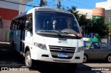 Nossa Senhora das Graças 7917 na cidade de Apucarana, Paraná, Brasil, por Emanoel Diego.. Número da foto: #13011520.
