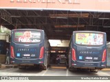 Jundiá Transportadora Turistica 1198 na cidade de São Roque, São Paulo, Brasil, por Weslley Kelvin Batista. Número da foto: #13012085.