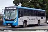 Princesinha do Vale 222335 na cidade de Resende, Rio de Janeiro, Brasil, por Flavio Rodrigues Silva. Número da foto: #:id.