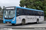 Princesinha do Vale 222309 na cidade de Resende, Rio de Janeiro, Brasil, por Flavio Rodrigues Silva. Número da foto: #:id.