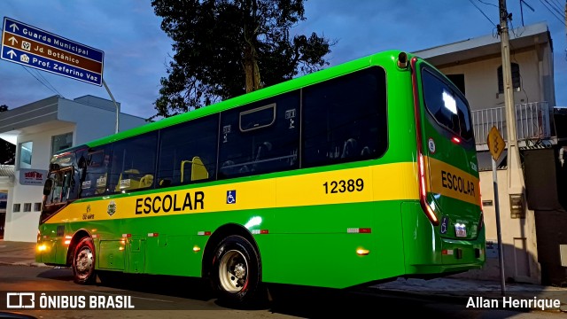 Transportes Capellini 12389 na cidade de Paulínia, São Paulo, Brasil, por Allan Henrique. Número da foto: #13091635.