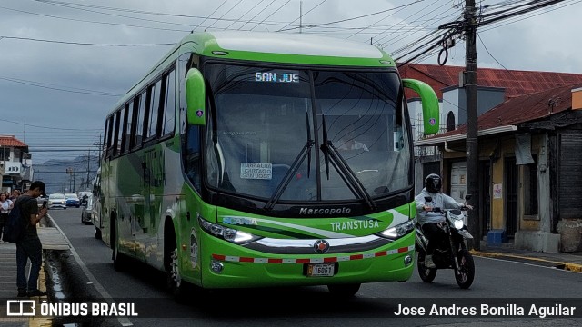 Transtusa  na cidade de Cartago, Costa Rica, por Jose Andres Bonilla Aguilar. Número da foto: #13090910.